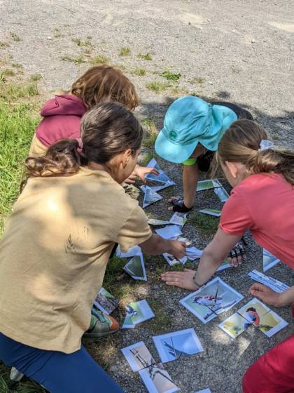 Kinder bestimmen anhand von Fotos Vögel